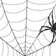Illustration for article titled Lawyer Says 11-Year-Old Gang Rape Victim Was a 'Spider' Luring Men Into Web